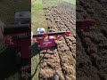 Dethatch the Lawn