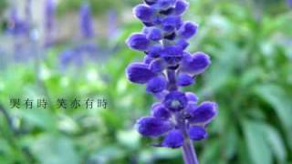 『哭有時、笑有時』團契遊樂園7 新一天, 新的開始 (基督教詩歌)