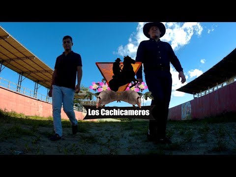 BREVE HISTORIA DEL COLEO | LOS CACHICAMEROS |