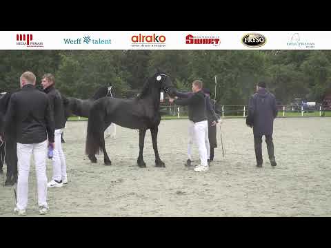 Stamboekkeuring Harich | 29 September 2023