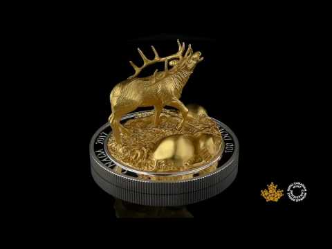 10 oz. Pure Silver Gold-Plated Coin - Sculpture of Majestic Canadian Animals: Elk