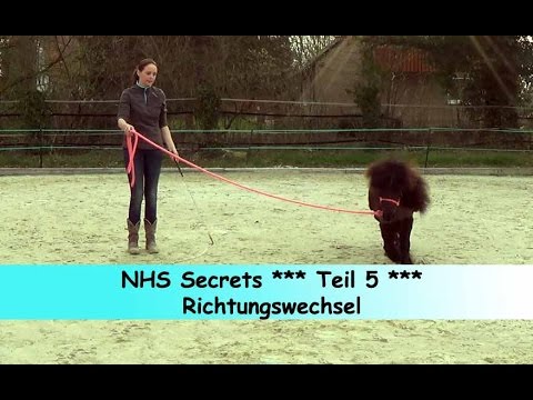 Teil: 5 Richtungswechsel an der Longe  ** Natural Horsemanship Secrets **