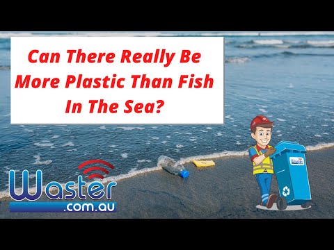 More Plastic Than Fish In The Sea? 🐟 Can This Be True?