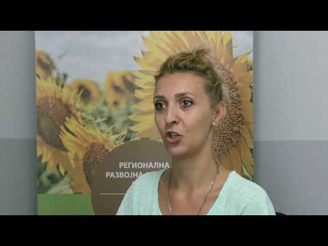 Brend Bačke – četvrta faza