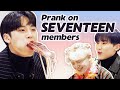 Dingo Pulled A Prank On SEVENTEEN Members ENG SUB Dingo Kdrama