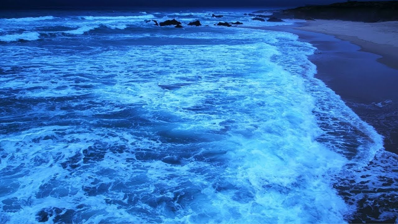 Clear your mind by listening to the waves on the beach 💤 soft ocean sounds to sleep to 🌊