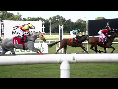 220306 c07 MEF DGC/ HONRA REAL (BRZ)