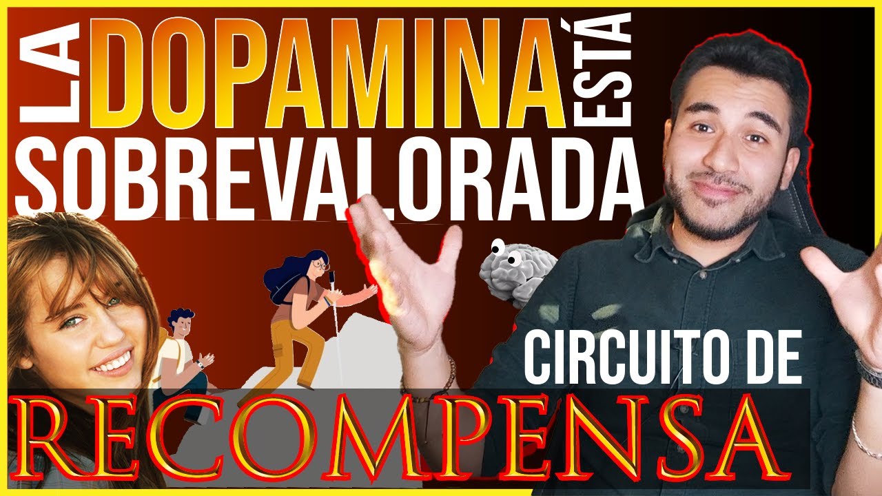 Circuito (sistema) de PLACER y RECOMPENSA cerebral