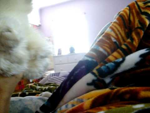 Ben and Murphy Love ♥ Quest  Make Up's And Break Up's