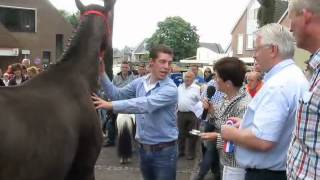 preview picture of video 'Paardenmarkt Enter'