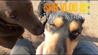 SHH VLOG #2 ( WOW...WHAT A WEEKEND)