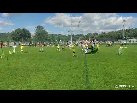 Pingviini Cup 2022 Kups musta - FCFJ/3