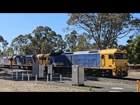 7902V PN up "Mildura Fruitflyer" (G525+G519+BL30), Merbein - Melbourne, 0945, 29/11/24, Elmhurst VIC