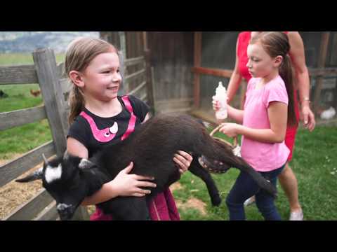 Gut Neusess, a Child-Friendly Farm – Farm Holidays in Mauterndorf, Salzburger Lungau