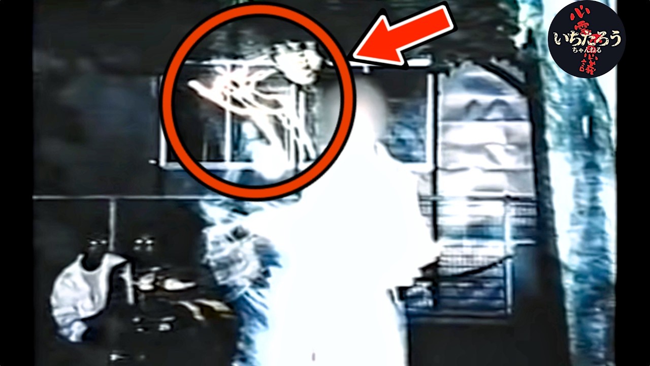 【危険】横浜の公園で撮影…友人の背後に現れた“男の顔”（心霊写真10選）