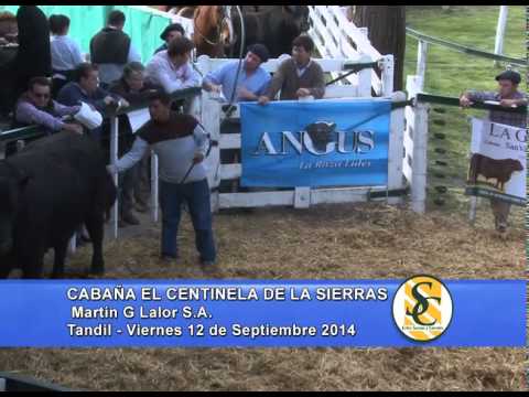 El Centinela de Las Sierras - Venta Toro - Tandil - 12/09/2014