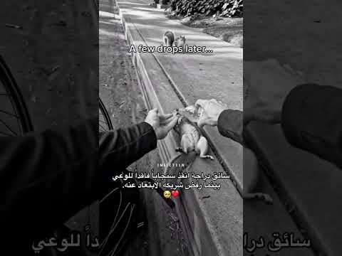 انقذه.   (الإنسانية) اشترك في القناة ليصلك كل جديد وفعل الجرس