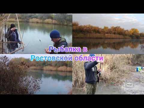 Осенняя рыбалка / На рыбалке с мужем