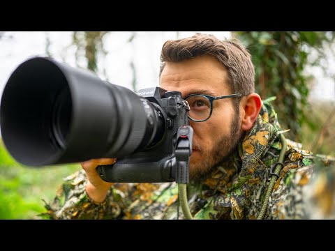 why YOU need to take up WILDLIFE PHOTOGRAPHY in 2025. A skill that will change your life.