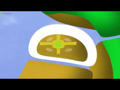 HOW to remember and analyze Perthes' disease