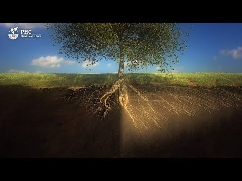 PHC Film: Der Boden ist ein lebender Organismus