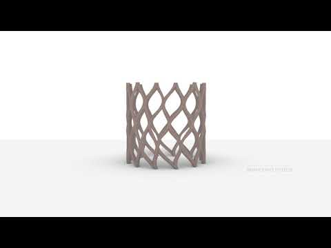 Exo-linked Bifurcation