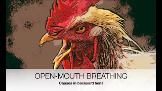 Open mouth breathing in chickens ACTUAL CAUSES! | Sez the Vet