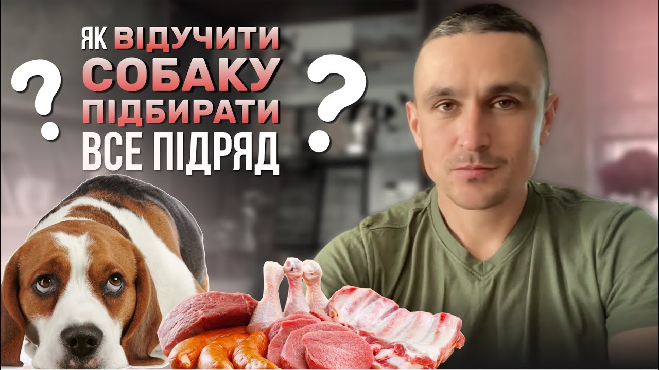YouTube video preview