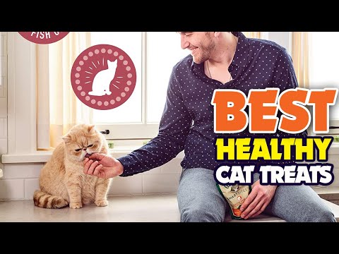 😺 The Best Healthy Cat Treats - Exclusive Products Reviewed!