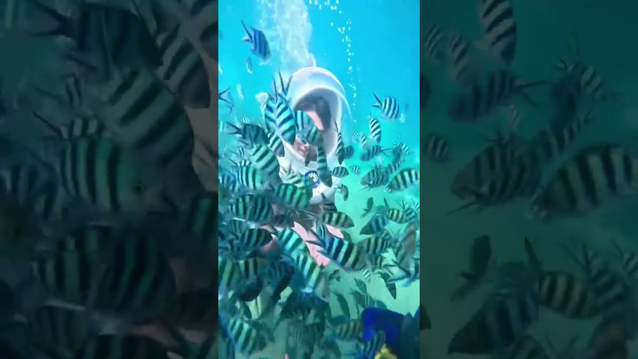 YouTube Short thumbnail