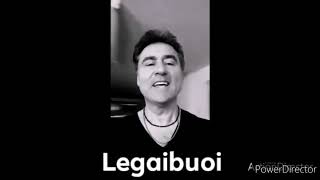 Anime in plexiglass - Legaibuoi, tributo a Luciano Ligabue