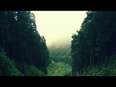 Calavera Manya ft. Marina Milosevic - Nedelja (Sunday)