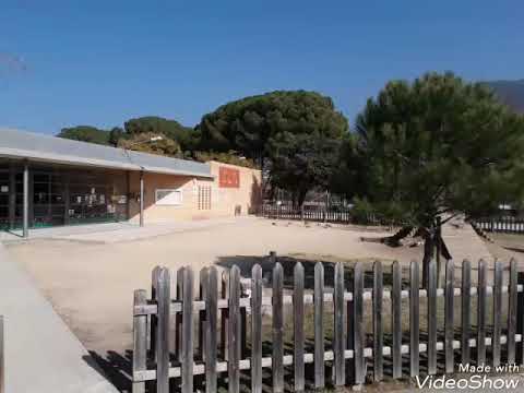 Vídeo Colegio Els Pinetons