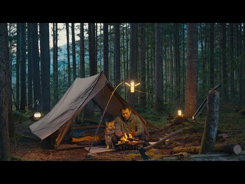 Simple Forest Camping with My Dog | Cozy Fire & Relaxing ASMR