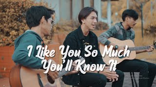 Download lagu I Like You So Much, You’ll Know It (我多喜欢你，你会知道) - OST A Love So Beautiful (English Cover by Tereza) mp3