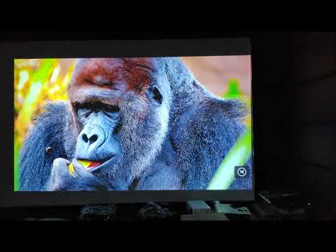 Ts-Lt22a+  Android 9.0 High Lumens 6d Keystone Remote Focus Portable Projector