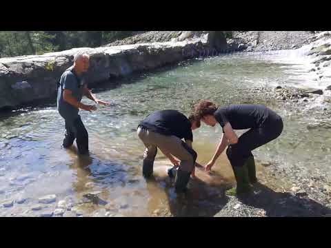 Una giornata con i piedi a mollo