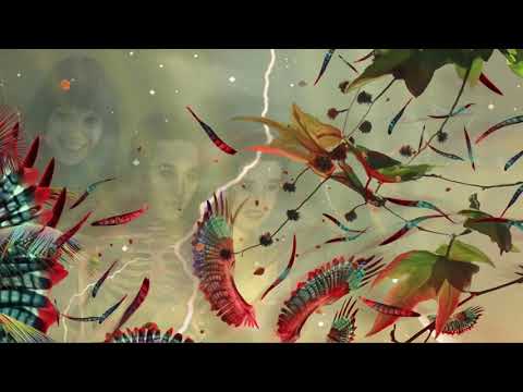 Video thumbnail for ADEMEN