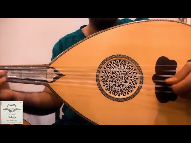 اوتار اكويلا ابيض دوزان شرقي دو-دو 11 وتر