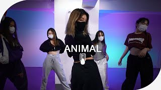Trey Songz - Animal l KAYDAY (Choreography)