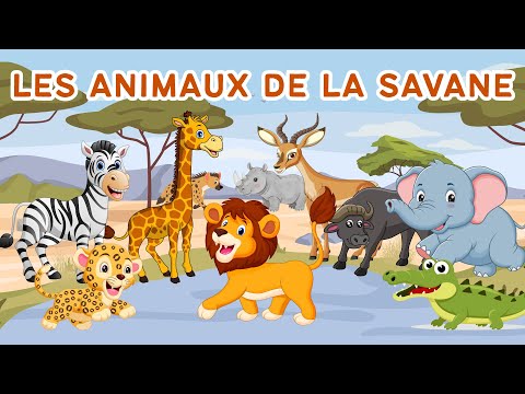 Animaux pour enfants | Sons d'animaux de la savane