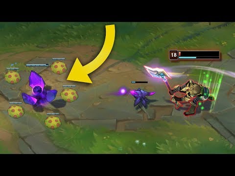 SETUP PERFECT BAIT - 200 IQ Baits Montage - League of Legends