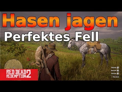 Hasen jagen erklärt Red Dead Redemption 2