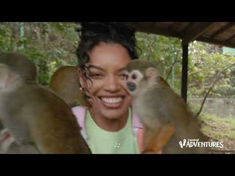 Thumbnail for Carnival Adventures – Amber Cove | Carnival Cruise Line