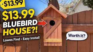 Bluebird House in Your Backyard from Lowes - Great Value 