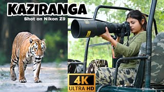 Wildlife Photography in Kaziranga National Park | Wildlife of India | Nikon Z9 4K