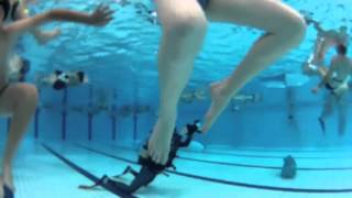 Michel Redolfi — "Mare Sonorum" [ Subaquatique, Martigues, mai 2012 ]