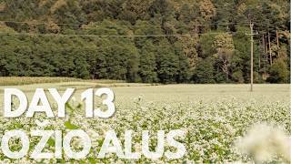 DAY 13. OŽIO ALUS IR KALNŲ KARVĖS