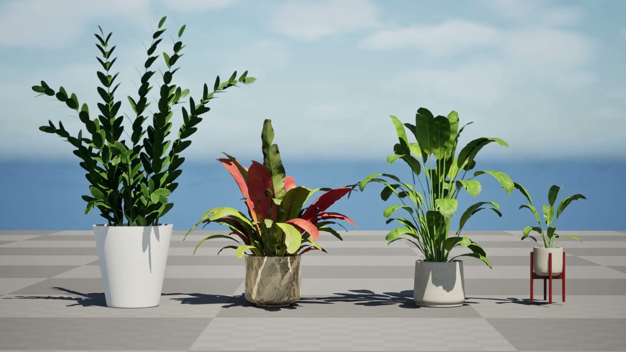 Paquete de plantas de interior Modelo 3D