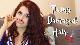 How I Fixed My Dry Brittle Hair (and made it grow!) | 6 Things